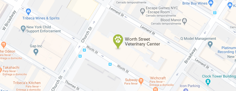 Worth Street Veterinary Location